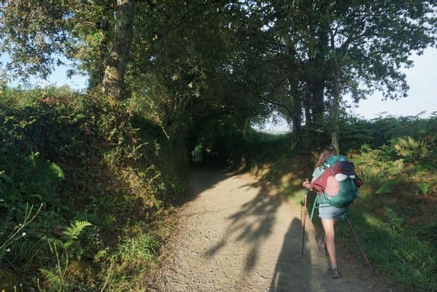 Una persona con zaino e bastoncini da trekking, parte di un viaggio di gruppo WeRoad, cammina lungo un sentiero sterrato ombreggiato e circondato da alberi.