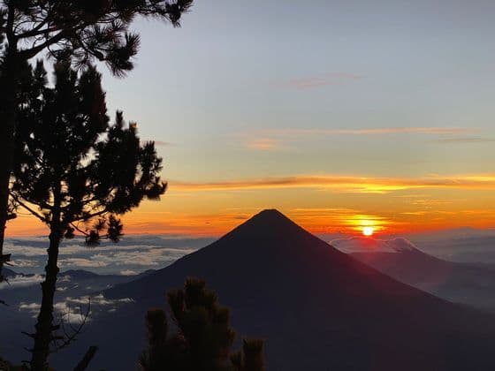 Le soleil se lève sur un volcan en silhouette au-dessus d'une mer de nuages, encadré par des pins sous un ciel orange et bleu.