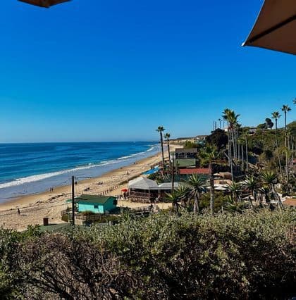 Una vista aérea de una costa soleada con una playa de arena, olas azules del océano y casas anidadas entre palmeras.