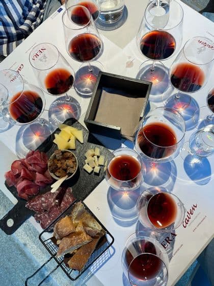 Vista aerea di una degustazione di vini, con calici di vino rosso e un tagliere di salumi, formaggi e pane.