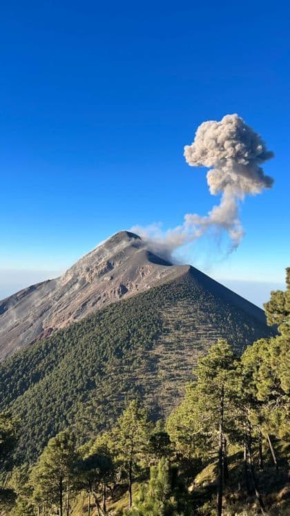 Un vulcano attivo con pendii boscosi erutta un pennacchio di cenere grigia contro un cielo azzurro e limpido.