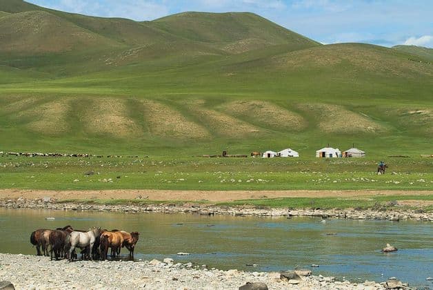 Pferde stehen an einem felsigen Flussufer in einem weiten grünen Tal mit Jurten und sanften Hügeln im Hintergrund.