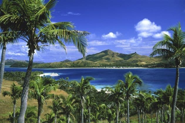 Una vista da una collina erbosa, oltre le palme, verso una baia blu, dove una nave bianca naviga vicino a un'isola verde lontana sotto un cielo limpido.