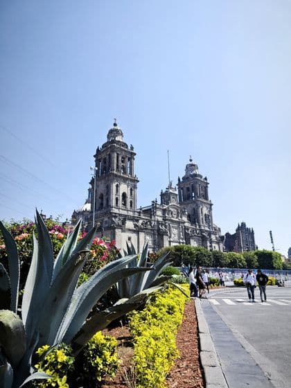 Eine große Steinkathedrale mit zwei Glockentürmen, von einer Straßenecke aus gesehen, mit Agaven und bunten Blumen im Vordergrund.