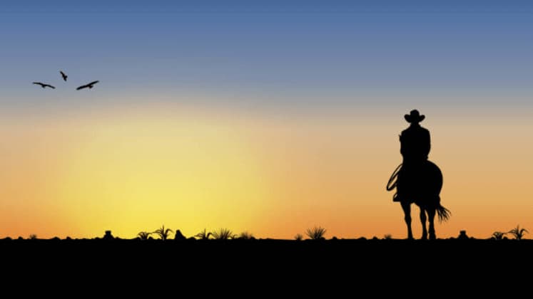 A silhouette of a cowboy on a horse looking out at a sunset with three birds flying in the sky.