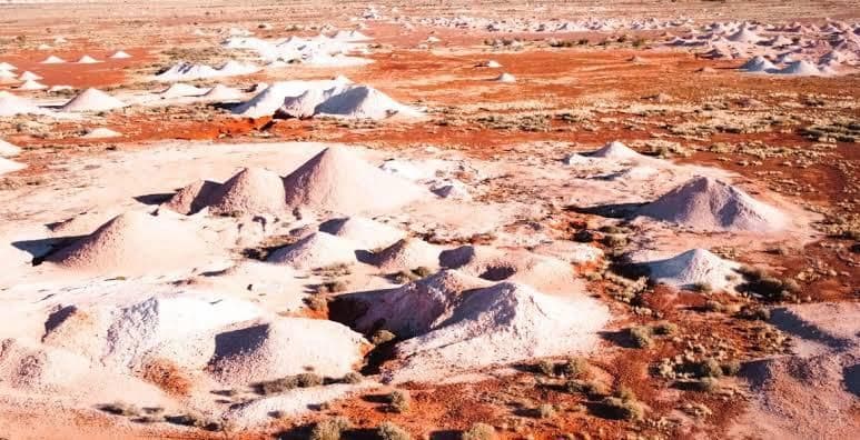 Zahlreiche kegelförmige Hügel aus hellem Aushub bedecken eine weite, rotbraune Landschaft mit spärlicher Vegetation.