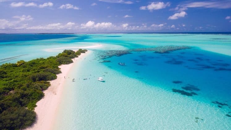 Vue aérienne d'un banc de sable blanc tropical avec des arbres verts, entouré d'une eau turquoise claire avec des bateaux et des nageurs.
