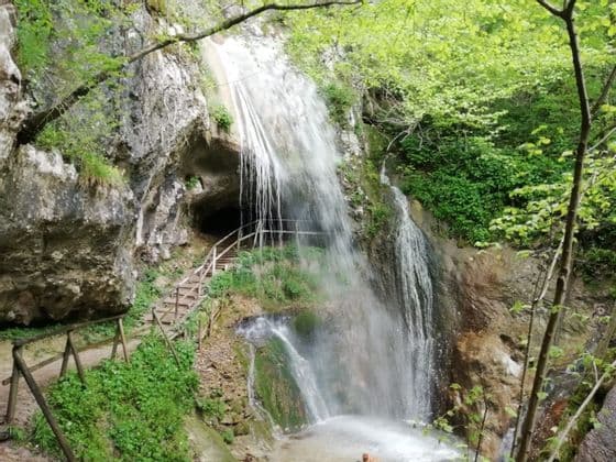 Una scalinata in legno porta a un ingresso di grotta dietro una cascata che precipita da una parete rocciosa in una lussureggiante foresta verde.