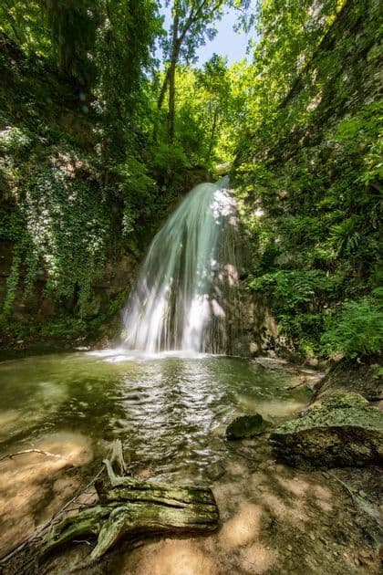 Una cascata scende da una scogliera rocciosa ricoperta d'edera in una pozza verde e poco profonda, immersa in una foresta illuminata dal sole.