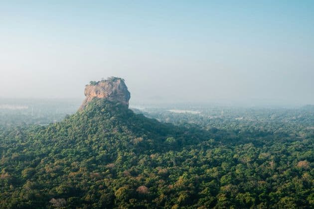 Un gran monolito de roca emergiendo de una densa jungla verde que se extiende hasta el horizonte bajo un cielo brumoso.