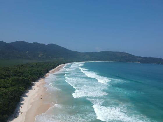 An aerial view of a long sandy beach with turquoise waves, backed by a dense forest and mountains under a clear sky.