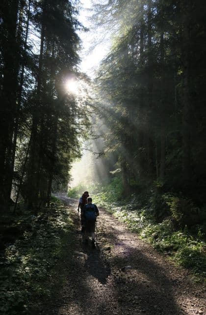 Due escursionisti di un viaggio di gruppo WeRoad camminano su un sentiero in una foresta, con raggi di sole luminosi che filtrano tra gli alberi.