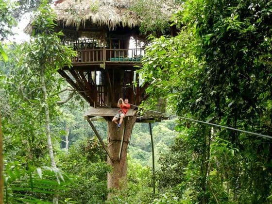 Un uomo con una maglietta rossa si prepara a lanciarsi da una piattaforma su una grande casa sull'albero usando una teleferica in una fitta giungla verde.