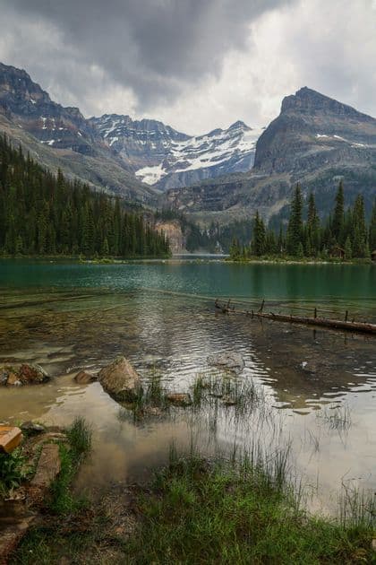 A clear alpine lake surrounded by pine trees, with snow-capped mountains in the background under an overcast sky.