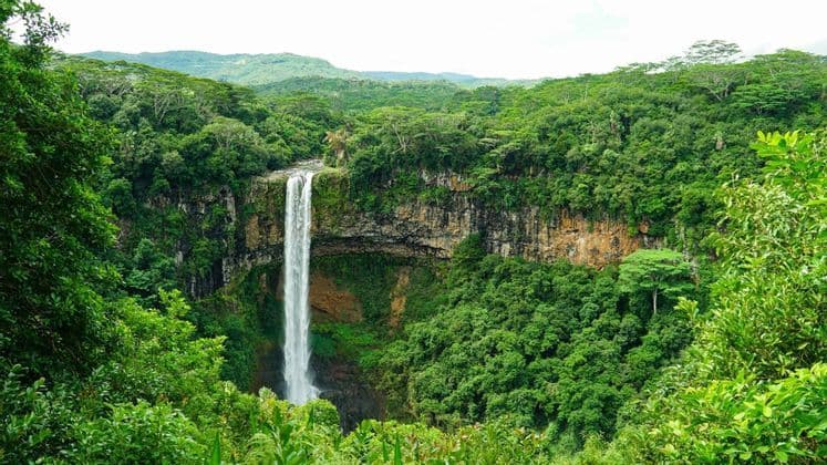 Una alta cascada cae por un acantilado rocoso, rodeada de una densa jungla de un verde vibrante con colinas al fondo.