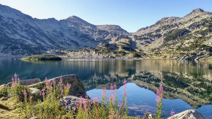 Un limpido lago di montagna riflette vette rocciose e un cielo azzurro, con fiori selvatici viola e rocce lungo la riva in primo piano.
