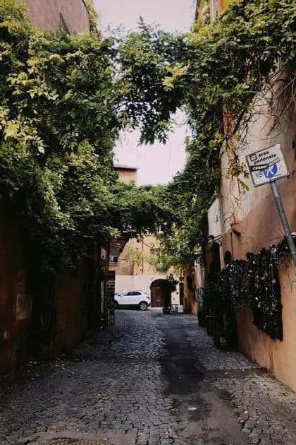 Una vista por un callejón estrecho adoquinado con frondosas enredaderas verdes formando un arco arriba, que conduce a un coche blanco estacionado.