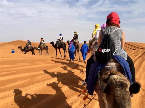 Un voyage de groupe WeRoad à dos de chameau en caravane à travers des dunes de sable orange sous un ciel lumineux.