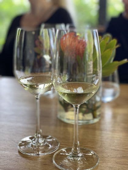 Zwei Gläser Weißwein stehen auf einem Holztisch neben einer Vase mit Blumen während einer WeRoad Gruppenreise.