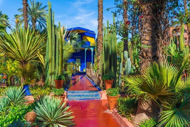 A vibrant blue building with yellow accents stands behind a lush garden filled with cacti, palm trees, and a bright red walkway.