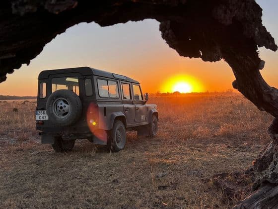 Un SUV scuro è parcheggiato in un campo erboso con il sole che tramonta all'orizzonte, incorniciato da un ramo d'albero in silhouette.