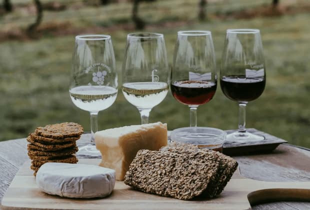 Un tagliere di formaggi e cracker viene presentato con una degustazione di vini, due rossi e due bianchi, all'aperto.