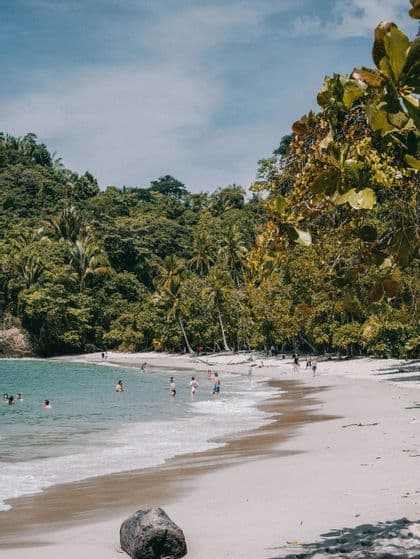 A WeRoad group trip enjoys a sunny day on a white sand beach, swimming in turquoise water next to a lush forest.