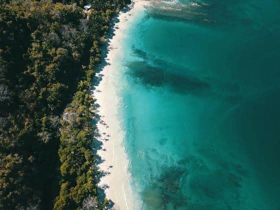 Una vista aerea di una spiaggia di sabbia bianca che separa una fitta foresta verde dall'acqua cristallina turchese dell'oceano.