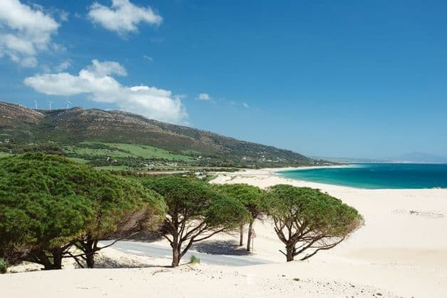 Una vista panorámica de una playa de arena blanca y océano turquesa, con pinos en las dunas en primer plano y una montaña verde con aerogeneradores bajo un cielo azul.