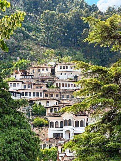 White traditional houses with tiled roofs built into a lush green hillside, viewed through tree branches.