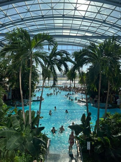 A large indoor swimming pool filled with people, surrounded by palm trees and enclosed by a massive arched glass roof.