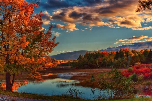 Un paesaggio autunnale con alberi colorati e un lago calmo che riflette il cielo nuvoloso, con montagne sullo sfondo.
