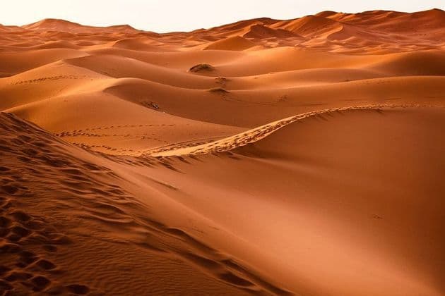 Ondulate dune arancioni del deserto si estendono all'orizzonte, segnate da impronte che seguono una cresta nella sabbia.