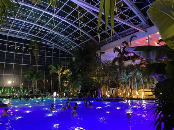 La gente nada en una gran piscina cubierta iluminada con luces azules por la noche, rodeada de palmeras bajo un techo de cristal.