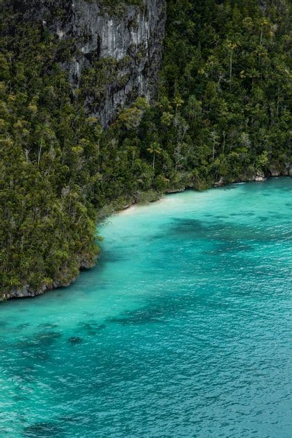 Una vista aerea di una costa tropicale dove l'acqua turchese incontra una spiaggia di sabbia bianca accanto a una scogliera ricoperta di foresta.