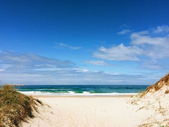 Un sentiero sabbioso tra due dune erbose si apre su una spiaggia con dolci onde oceaniche sotto un cielo blu con nuvole sparse.