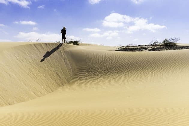 Una persona con un cappello si erge sulla cresta di una duna di sabbia, proiettando una lunga ombra sul deserto sotto un cielo azzurro.
