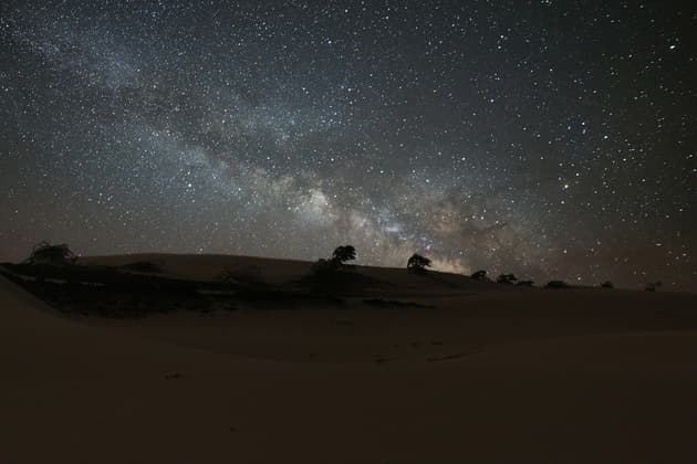 La Via Lattea e innumerevoli stelle risplendono luminose nel cielo notturno sopra le dune del deserto in silhouette e alberi sparsi.