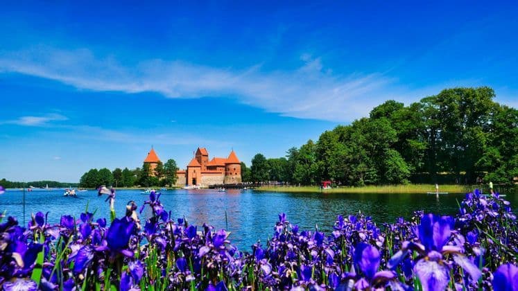 Un castello di mattoni rossi su un'isola in un lago, ammirato da un campo di iris viola sotto un cielo azzurro e limpido.