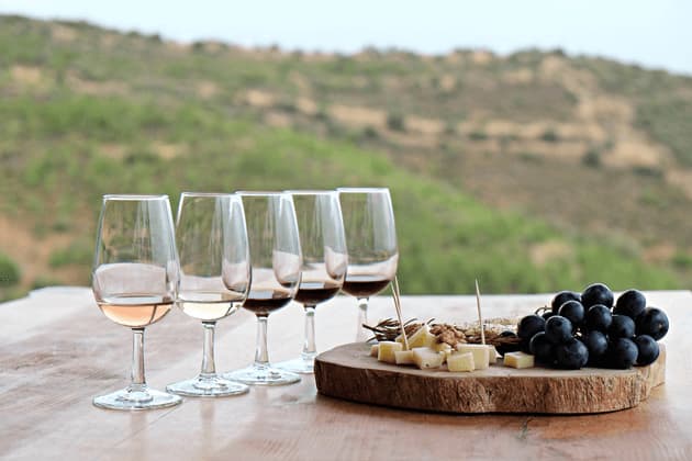 Una fila di calici da vino per una degustazione, con un tagliere di formaggi, uva e noci su un tavolo di legno all'aperto.