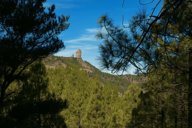 Un lontano monolito roccioso su un crinale montuoso boscoso, incorniciato da rami di pino in silhouette sotto un cielo azzurro limpido.