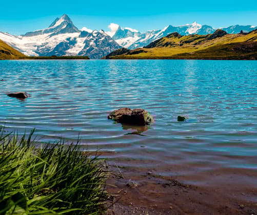 A low-angle view from a grassy shore of a clear alpine lake, with jagged, snow-capped mountains rising in the distance under a bright blue sky.