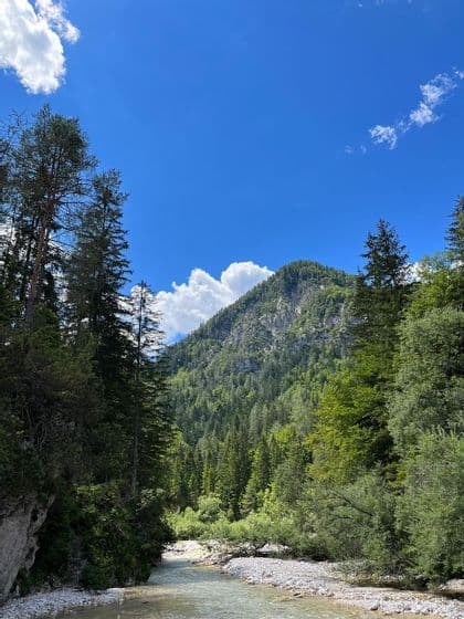 Un fiume limpido scorre attraverso una fitta foresta ai piedi di una montagna verde sotto un cielo azzurro brillante con nuvole.
