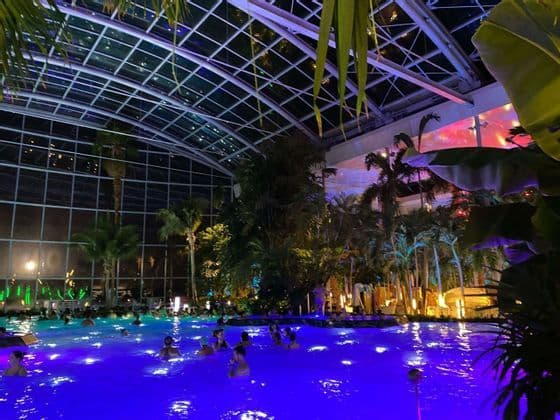 Un grupo de personas relajándose en una gran piscina interior por la noche, iluminada con luces azules y rodeada de palmeras bajo una cúpula de cristal.