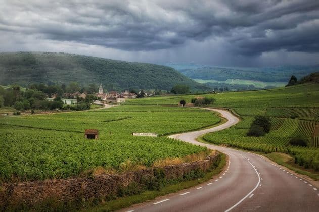Una strada tortuosa si snoda tra rigogliosi vigneti verdi verso un villaggio distante sotto un cielo carico di nuvole temporalesche.