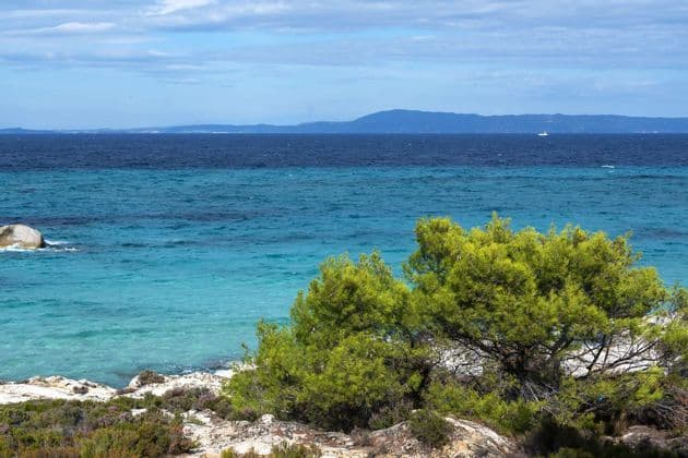 Una costa rocciosa con alberi verdi si affaccia su un mare turchese e blu profondo, con una terraferma lontana sotto un cielo nuvoloso.