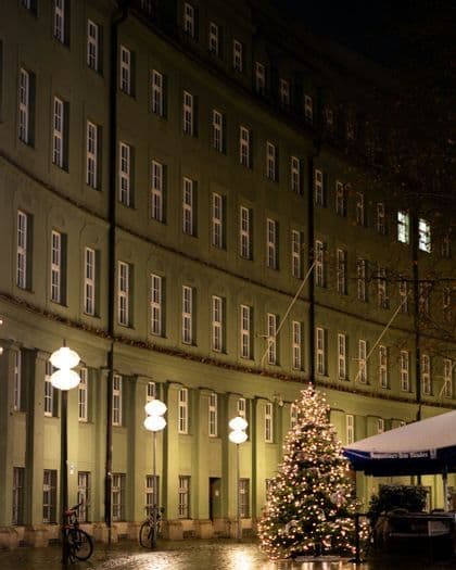 Un albero di Natale illuminato si erge di notte su una strada di ciottoli bagnata, davanti a un grande edificio verde e curvo.