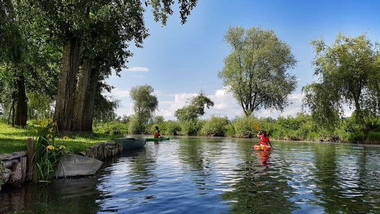 Due persone in kayak remano lungo un fiume tranquillo, fiancheggiato da alberi verdi e una ricca vegetazione sotto un cielo azzurro brillante.