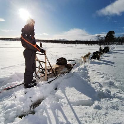 Eine Person einer WeRoad Gruppenreise steht auf einem Hundeschlitten, gezogen von Huskys, durch eine verschneite Landschaft unter strahlender Sonne.