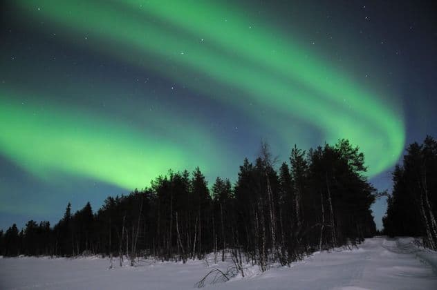 The green aurora borealis lights up a starry night sky above a snow-covered landscape and a dark pine forest.